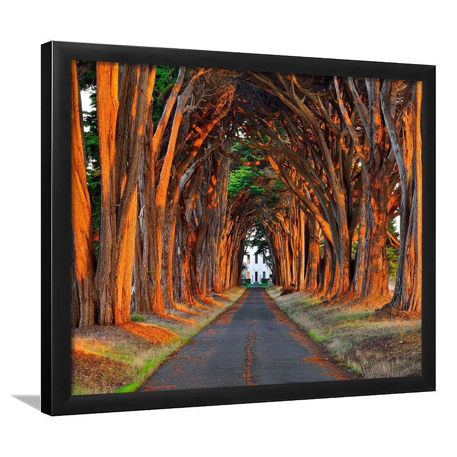 Tree Landscape Park Road Framed Art Prints - Framed Prints, Prints For Sale, Painting Prints,Wall Art Decor