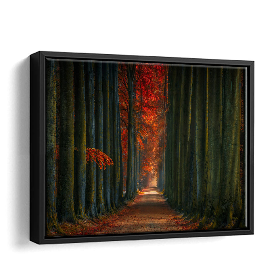 Tree Lined Winter Fall Alone Road Framed Canvas Wall Art - Canvas Prints, Prints For Sale, Painting Canvas,Framed Prints