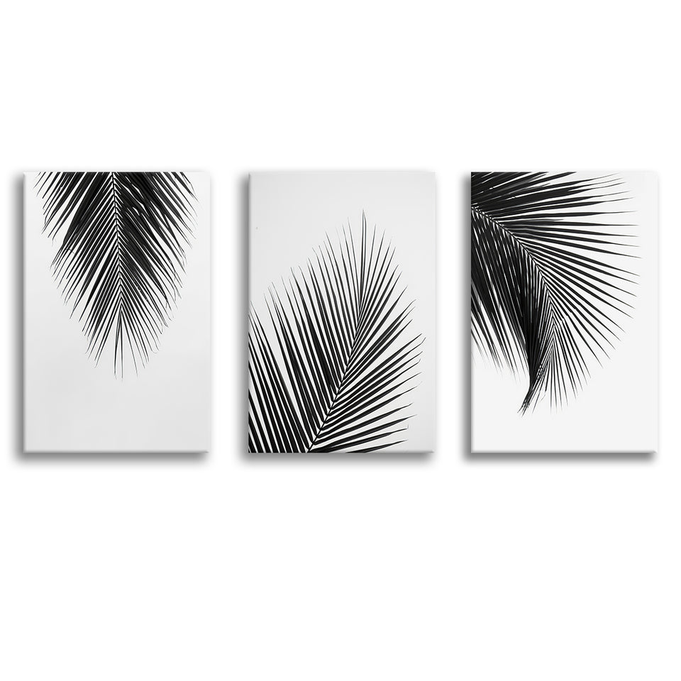 Tropical Palm Simple Minimalist Black White Canvas Prints 3 Pie – UnixCanvas