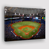 Tropicana Field, Stadium Canvas, Sport Art, Gift for him, Fan Gift, Canvas Prints Wall Art Decor