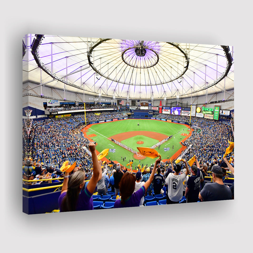 Tropicana Field Stadium, Stadium Canvas, Sport Art, Gift for him, Fan Gift, Canvas Prints Wall Art Decor