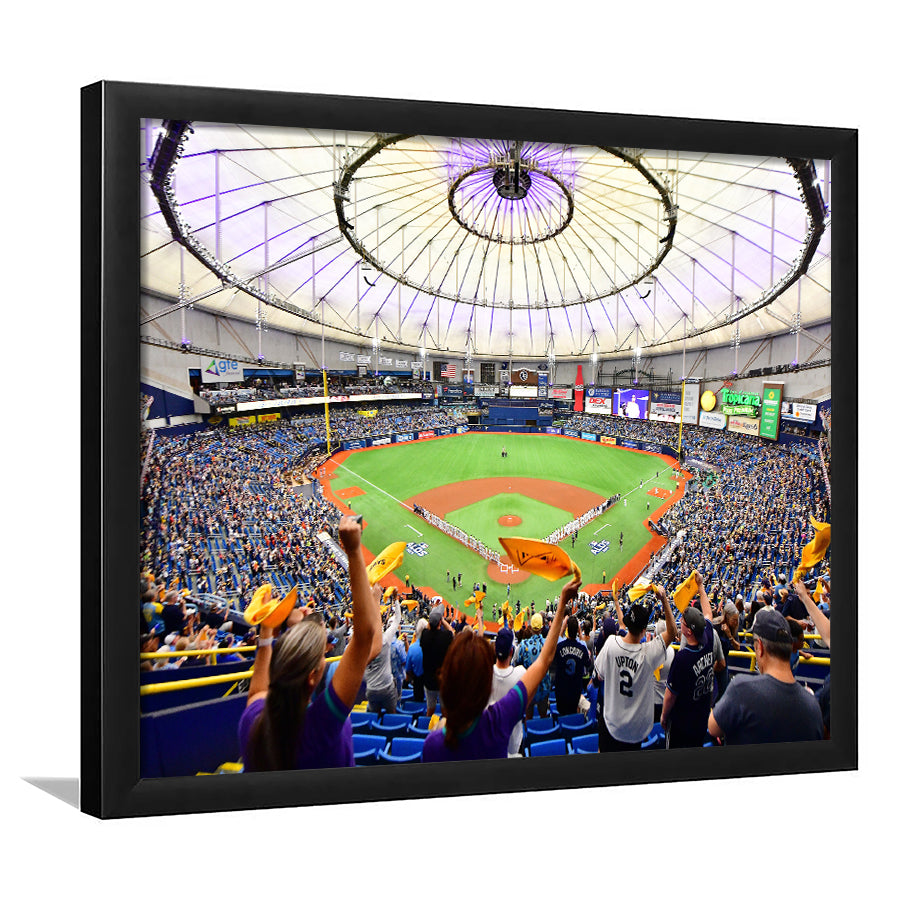 Tropicana Field Stadium, Stadium Canvas, Sport Art, Gift for him, Framed Art Prints Wall Art Decor, Framed Picture
