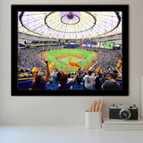 Tropicana Field Stadium, Stadium Canvas, Sport Art, Gift for him, Framed Art Prints Wall Art Decor, Framed Picture