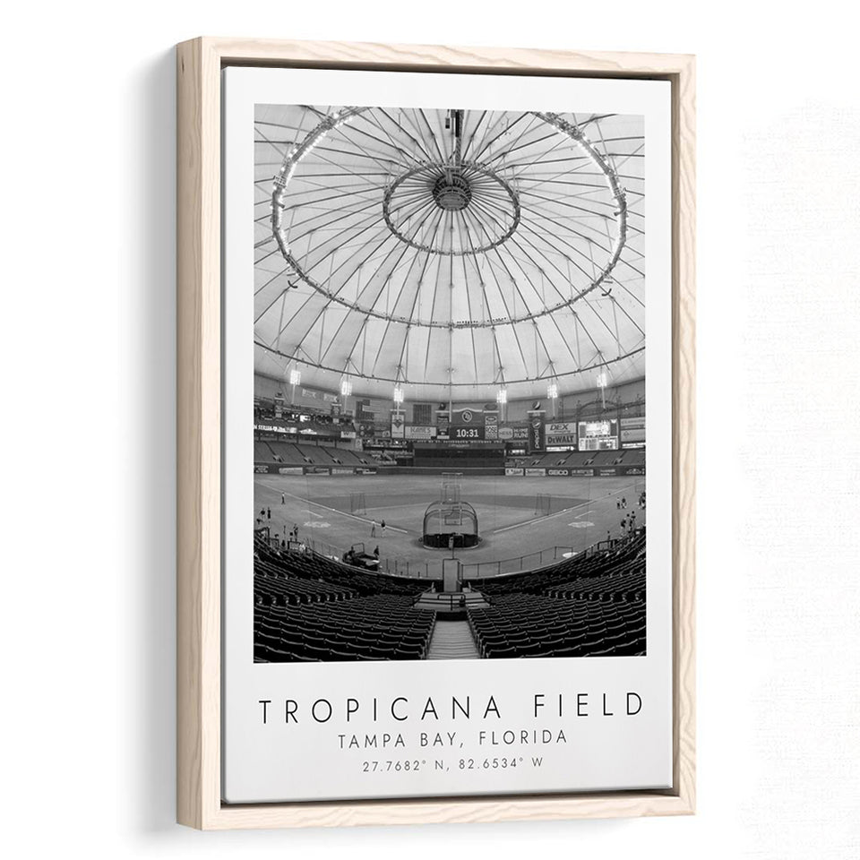 Tropicana Field Tampa Bay Rays Baseball Lovers Black And White Art Framed Canvas Prints Wall Art Home Decor, Floating Frame