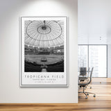 Tropicana Field Tampa Bay Rays Baseball Lovers Black And White Art Framed Canvas Prints Wall Art Home Decor, Floating Frame