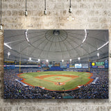 Tropicana Field in Florida, Stadium Canvas, Sport Art, Gift for him, Fan Gift, Canvas Prints Wall Art Decor