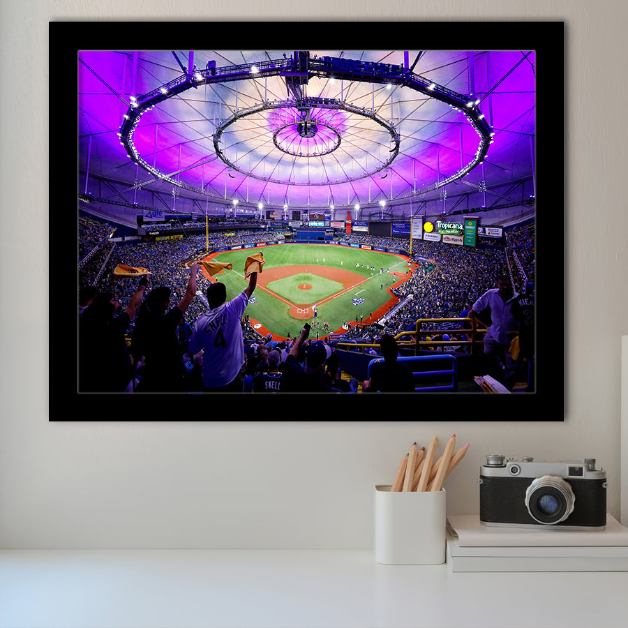 Tropicana Field in St Petersburg, Stadium Canvas, Sport Art, Gift for him, Framed Art Prints Wall Art Decor, Framed Picture