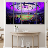 Tropicana Field in St Petersburg, Stadium Canvas, Sport Art, Gift for him, Multi Panels B, Canvas Prints Wall Art Decor