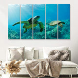 Two Beautiful Sea Turtle 5 Pieces B Canvas Prints Wall Art - Painting Canvas, Multi Panels,5 Panel, Wall Decor