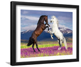 Two Horses Playing in Flower Field-Canvas art,Art print,Frame art