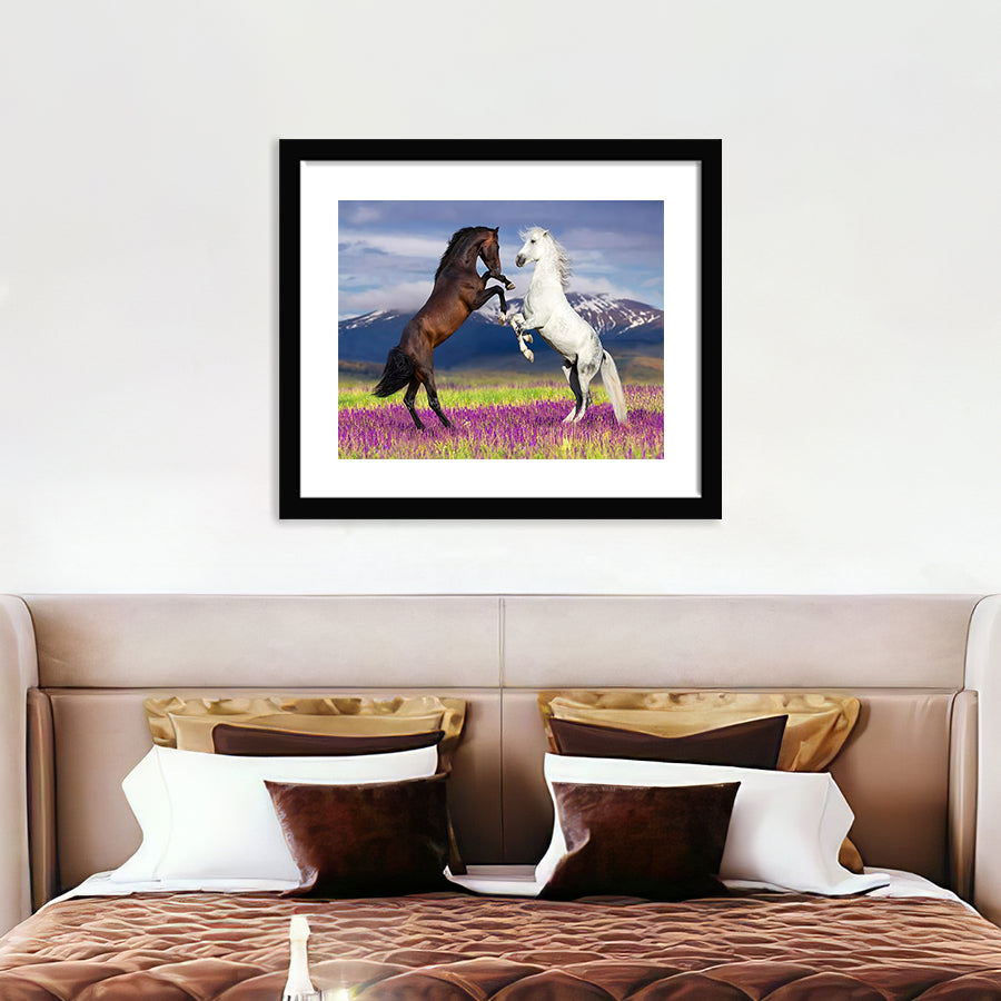 Two Horses Playing in Flower Field - Art Prints, Framed Prints, Wall Art Prints, Frame Art