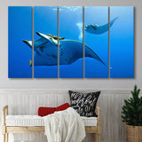 Two Manta Ray Swimming Under Water, 5 Panel B Canvas Prints Wall Art, Extra Large Canvas Decor