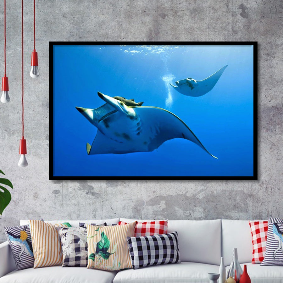 Two Manta Ray Swimming Under Water Framed Art Prints Wall Decor, Framed Picture, Large Art Prints