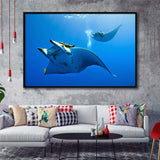Two Manta Ray Swimming Under Water Framed Canvas Prints Wall Art, Floating Frame, Large Canvas Home Decor