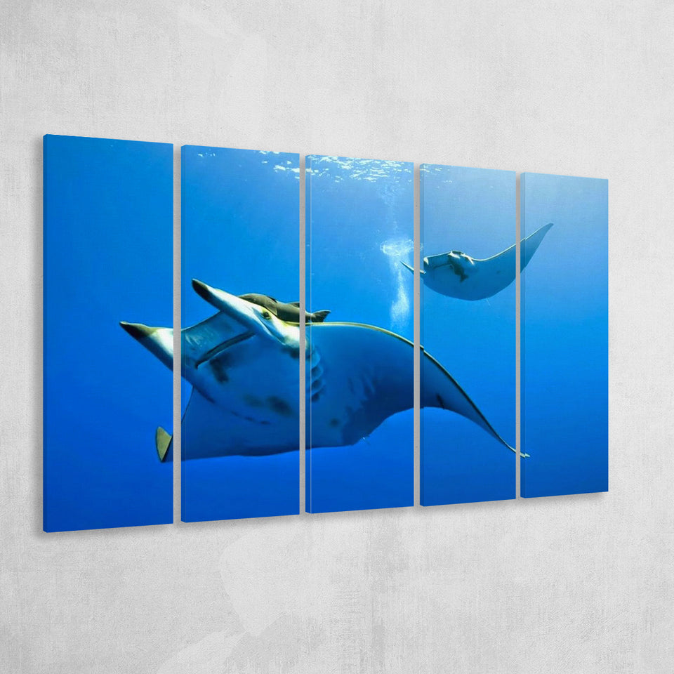 Two Manta Ray Swimming Under Water, 5 Panel B Canvas Prints Wall Art, Extra Large Canvas Decor