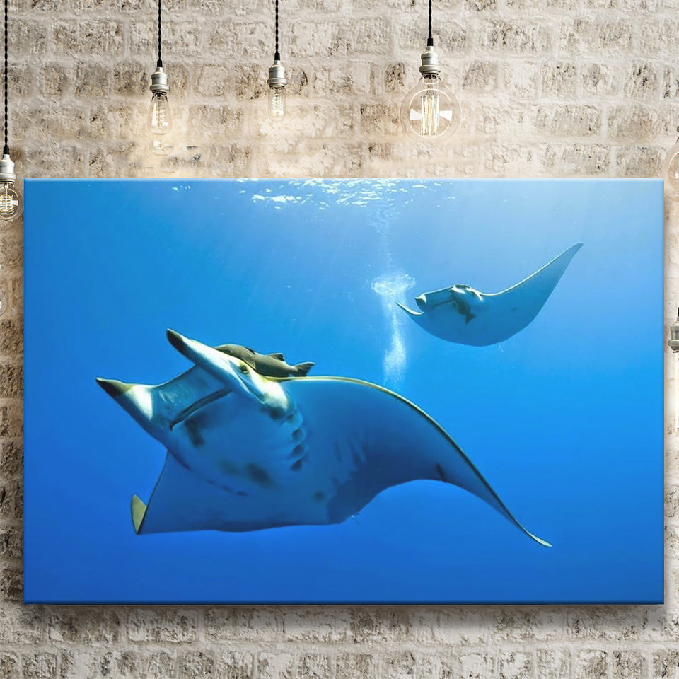Two Manta Ray Swimming Under Water Canvas Prints Wall Art, Home Living Room Decor, Large Canvas