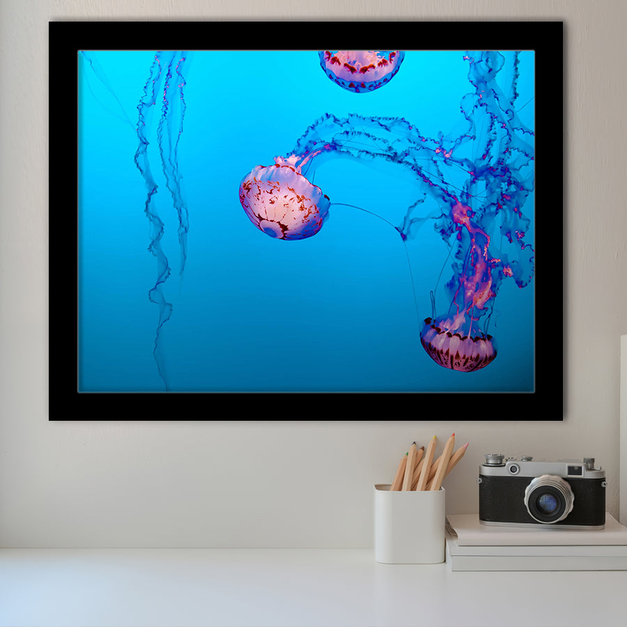 Underwater Art, Ocean Print Framed Art Prints Wall Art Decor,Black Frame, Ready to hang