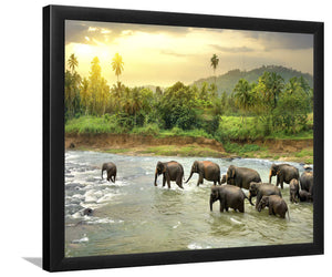 Wading Elephant Herd-Forest art, Art print, Plexiglass Cover