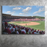 Walker Stadium, Stadium Canvas, Sport Art, Gift for him, Fan Gift, Canvas Prints Wall Art Decor