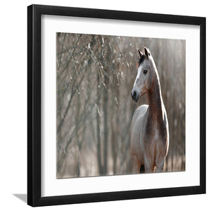 Welsh Pony Horse - Art Prints, Framed Prints, Wall Art Prints, Frame Art