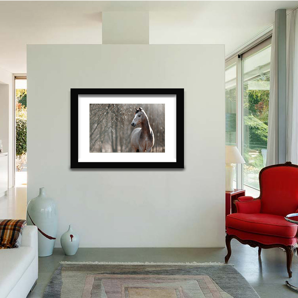 Welsh Pony Horse-Canvas art,Art print,Frame art