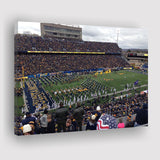 West Virginia Mountaineers Stadium Canvas Prints Milan Puskar Stadium,Sport Stadium Art Prints, Fan Gift, Wall Decor