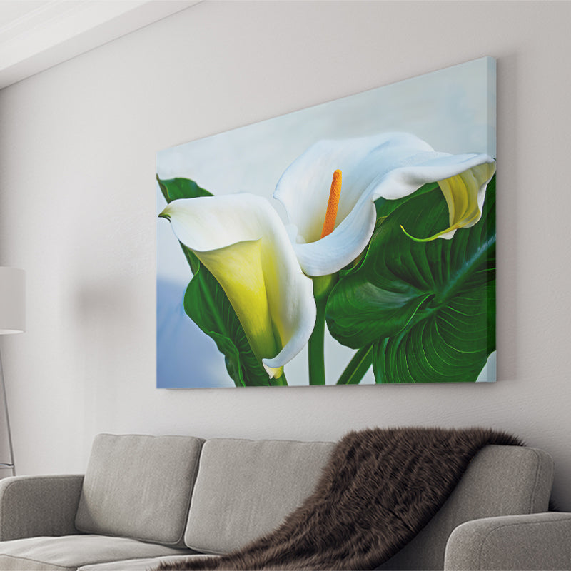white lily wall art White Calla Lily Flowers Canvas Prints Wall Art