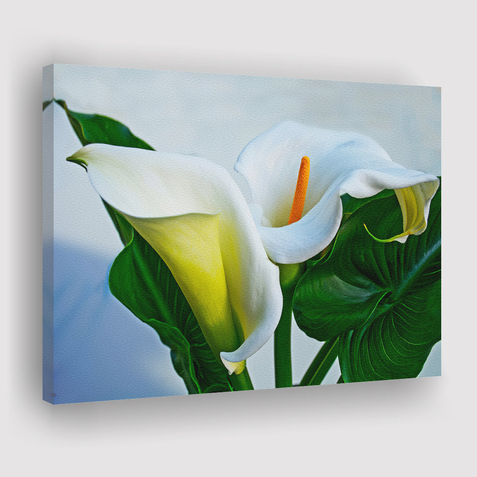 calla lily flower painting White Calla Lily Flowers Canvas Prints Wall Art