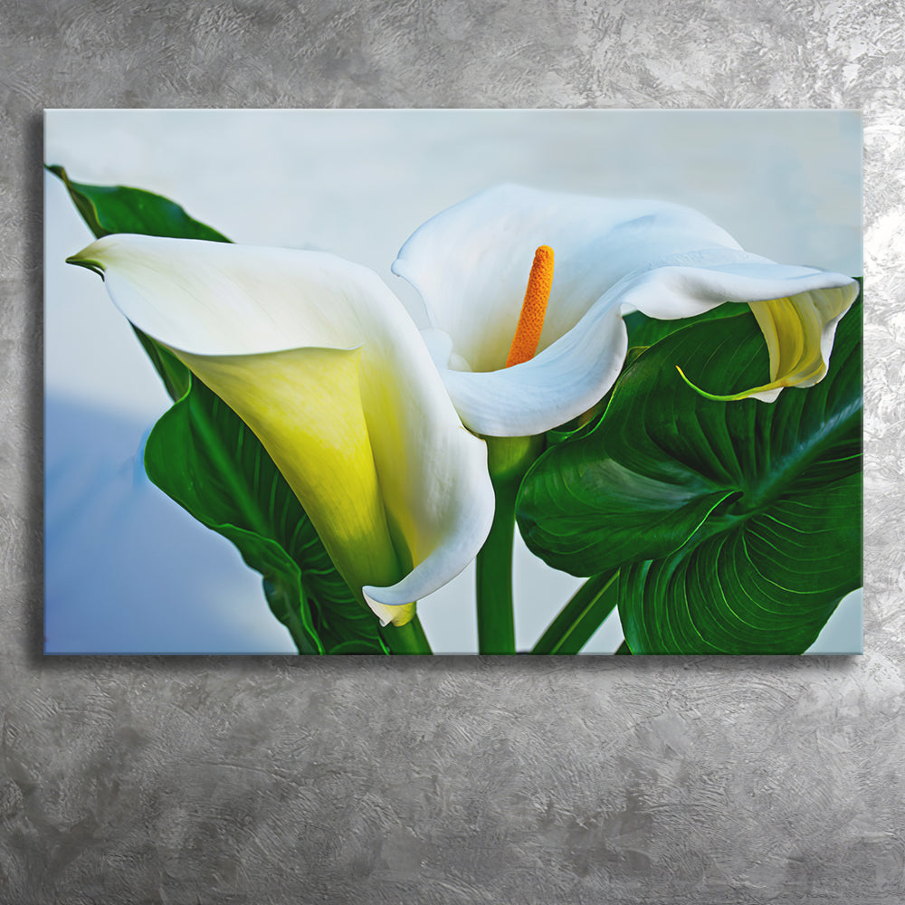 black and white calla lily canvas White Calla Lily Flowers Canvas Prints Wall Art