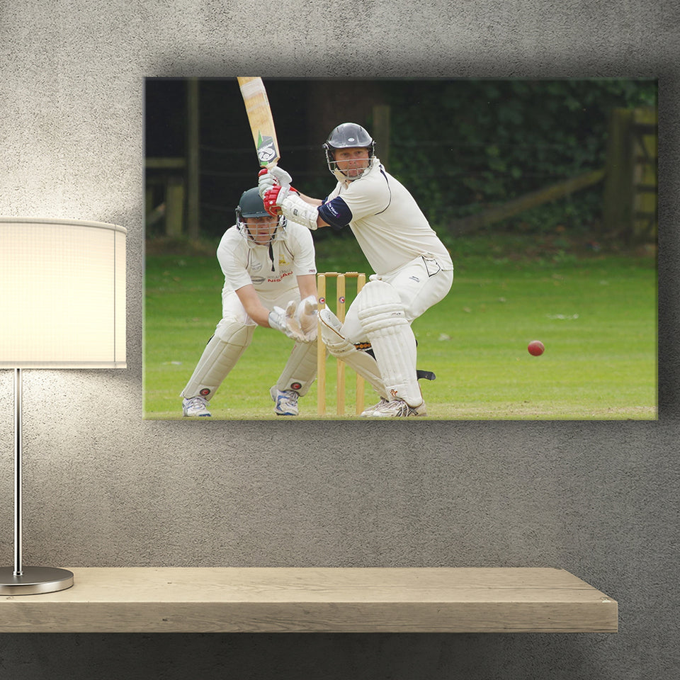 White Cricket, Stadium Canvas, Sport Art, Gift for him, Fan Gift, Canvas Prints Wall Art Decor
