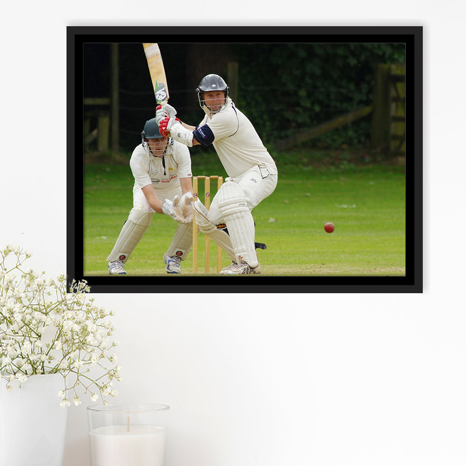 White Cricket, Stadium Canvas, Sport Art, Gift for him, Framed Canvas Prints Wall Art Decor, Framed Picture