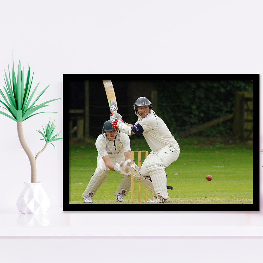White Cricket, Stadium Canvas, Sport Art, Gift for him, Framed Art Prints Wall Art Decor, Framed Picture