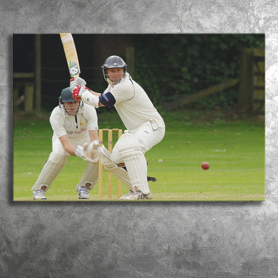 White Cricket, Stadium Canvas, Sport Art, Gift for him, Fan Gift, Canvas Prints Wall Art Decor