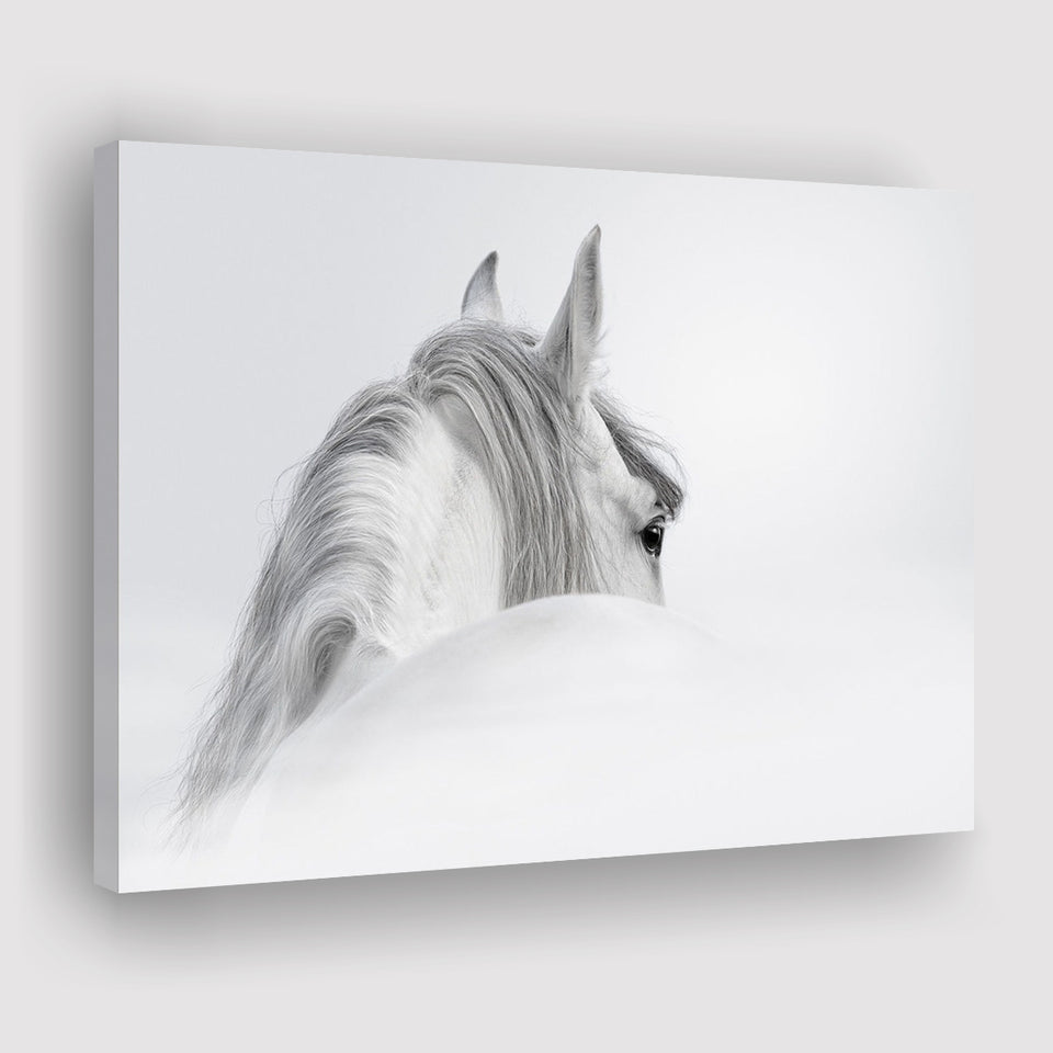 White Horse Canvas Prints Wall Art Decor - Paiting Canvas, Art Prints, Wall Decor, For Sale