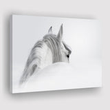 White Horse Canvas Prints Wall Art Decor - Paiting Canvas, Art Prints, Wall Decor, For Sale
