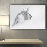 White Horse Canvas Prints Wall Art Decor - Paiting Canvas, Art Prints, Wall Decor, For Sale