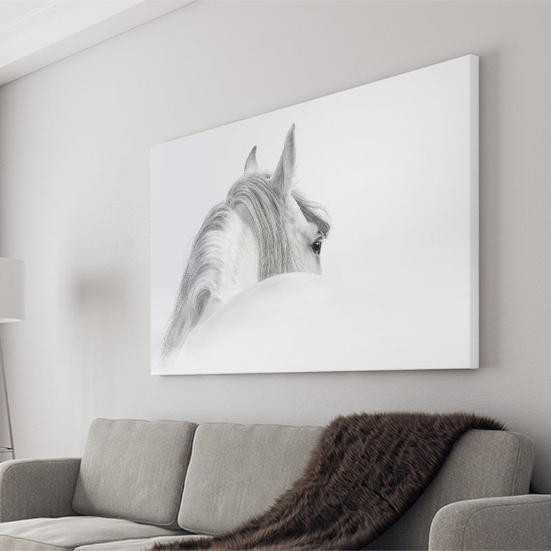 White Horse Canvas Prints Wall Art Decor - Paiting Canvas, Art Prints, Wall Decor, For Sale