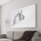 White Horse Canvas Prints Wall Art Decor - Paiting Canvas, Art Prints, Wall Decor, For Sale