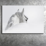 White Horse Canvas Prints Wall Art Decor - Paiting Canvas, Art Prints, Wall Decor, For Sale