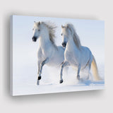 White Horses Canvas Prints Wall Art Decor - Paiting Canvas, Art Prints, Wall Decor, For Sale