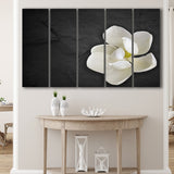 White Magnolia Flower, Floral 5 Panels B,Large Canvas,Canvas Prints Wall Art Home Decor