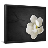 White Magnolia Flower, Floral Framed Art Prints Wall Art Decor,Black Frame, Ready to hang