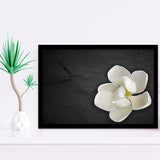 White Magnolia Flower, Floral Framed Art Prints Wall Art Decor,Black Frame, Ready to hang