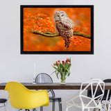 White Owl Canvas Wall Art - Framed Art, Prints For Sale, Painting For Sale, Framed Canvas, Painting Canvas