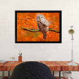 White Owl Canvas Wall Art - Framed Art, Prints For Sale, Painting For Sale, Framed Canvas, Painting Canvas