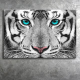 White Tiger Eyes Canvas Prints Wall Art - Painting Canvas, Art Prints, Wall Decor, Home Decor, Prints for Sale