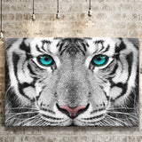 White Tiger Eyes Canvas Prints Wall Art - Painting Canvas, Art Prints, Wall Decor, Home Decor, Prints for Sale