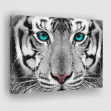 White Tiger Eyes Canvas Prints Wall Art - Painting Canvas, Art Prints, Wall Decor, Home Decor, Prints for Sale