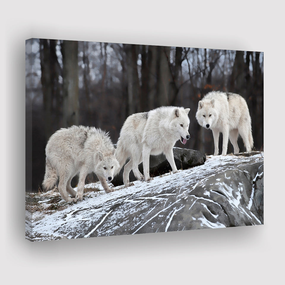 White Wolf Canvas Prints Wall Art Decor - Painting Canvas,Home Decor, Ready to Hang