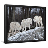 White Wolf Framed Art Prints Wall Art Decor, Framed Picture, Home Decor
